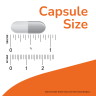 Глюкозамин NOW FOODS GLUCOSAMINE & CHONDROITIN WITH MSM, 180 капсул NS12281